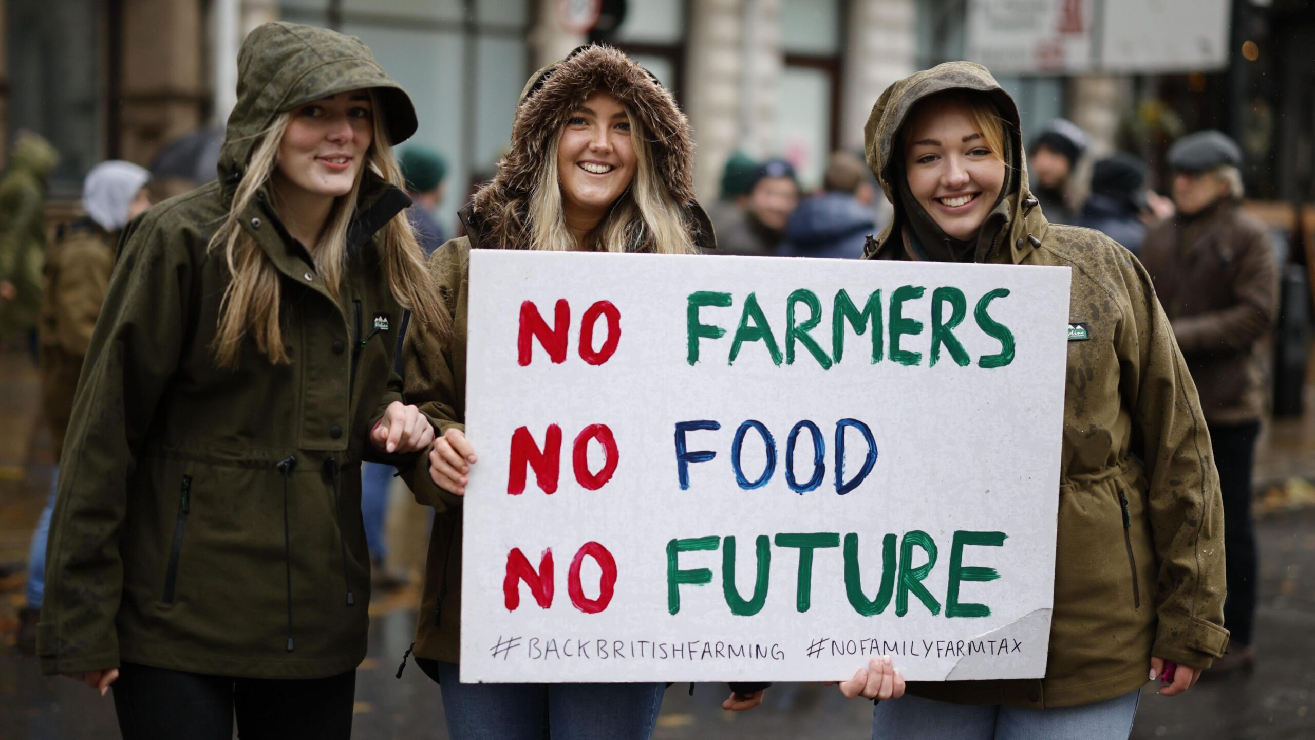UK Farming Policy Under Fire as Farmers Decry Shift Away from Cattle Rearing