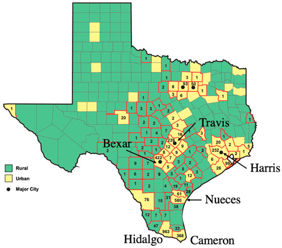 Texas Faces Murine Typhus Resurgence as Cats Become Key Disease Vector