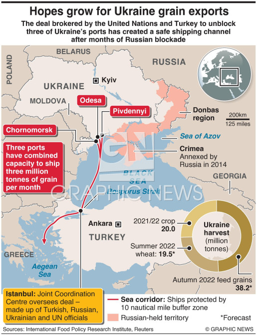Ukraine’s Grain Exports in Freefall After Port Blockades