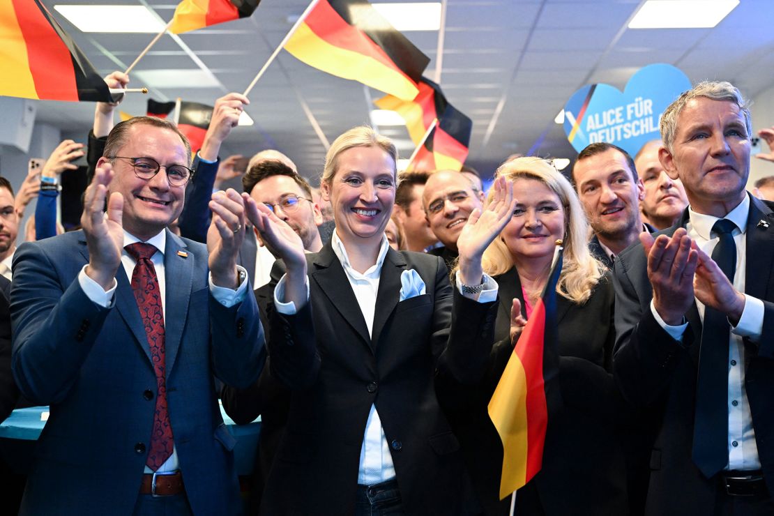 German Far-Right Leader Calls for Immediate Diesel Deal with Russia to End Energy Crisis